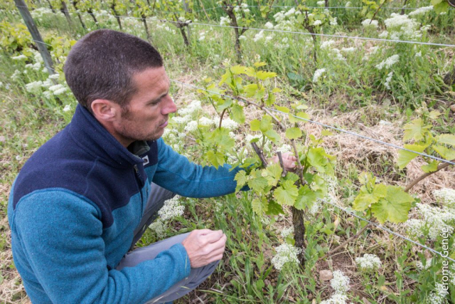 selection livre alsace biodynamie