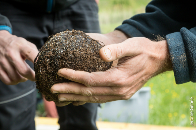 selection livre alsace biodynamie