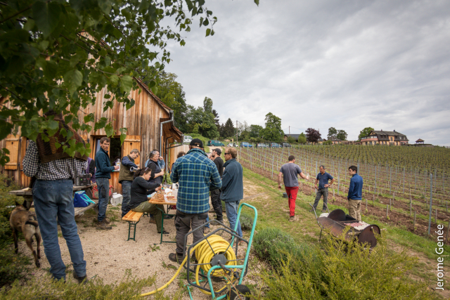 selection livre alsace biodynamie