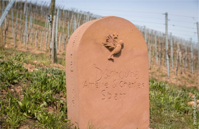 selection livre alsace biodynamie