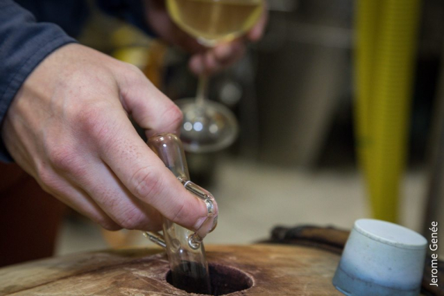 selection livre alsace biodynamie