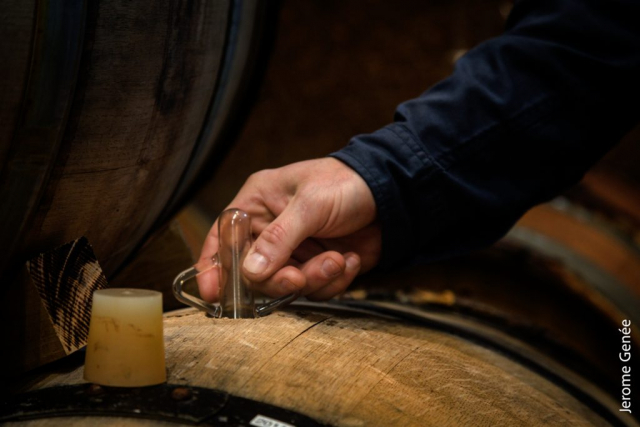 selection livre alsace biodynamie