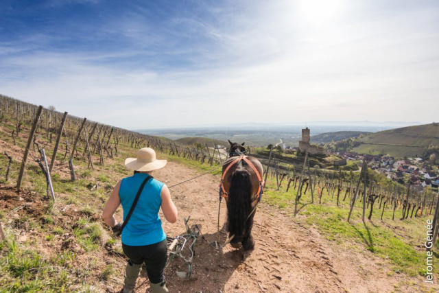selection livre alsace biodynamie