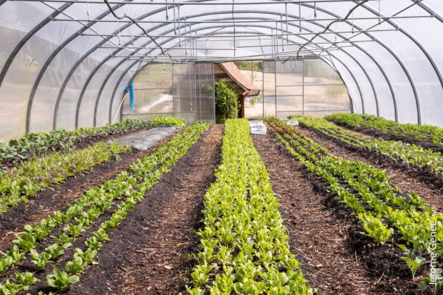 selection livre alsace biodynamie