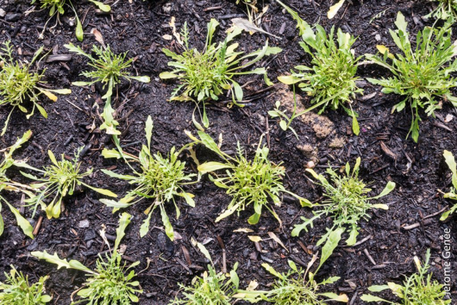 selection livre alsace biodynamie