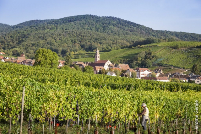 selection livre alsace biodynamie