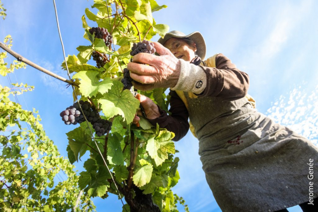 selection livre alsace biodynamie