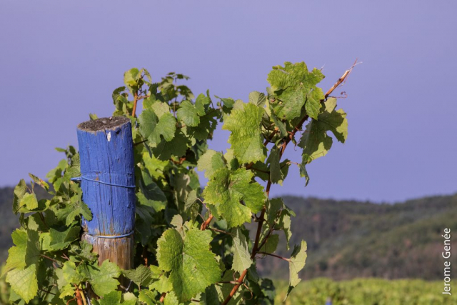 selection livre alsace biodynamie