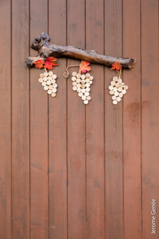 selection livre alsace biodynamie