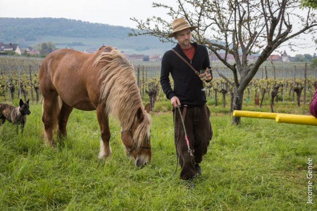 selection livre alsace biodynamie