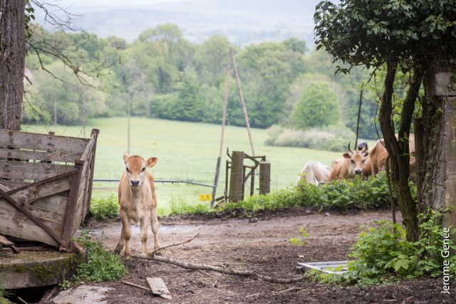 selection livre alsace biodynamie