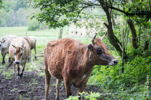 selection livre alsace biodynamie