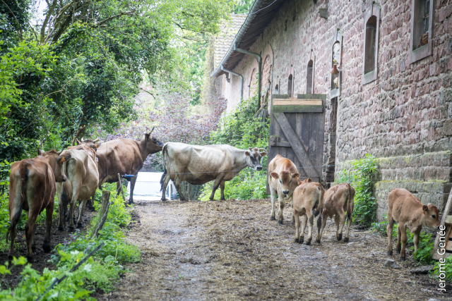 selection livre alsace biodynamie