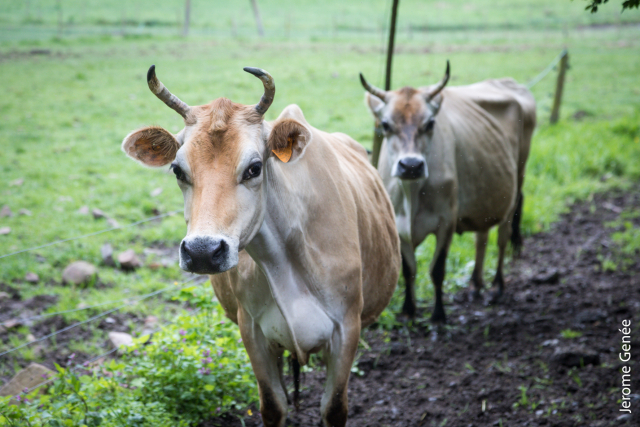 selection livre alsace biodynamie