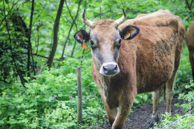 selection livre alsace biodynamie