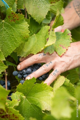 selection livre alsace biodynamie