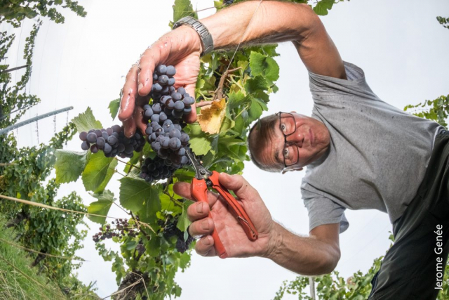 selection livre alsace biodynamie