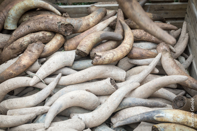 selection livre alsace biodynamie