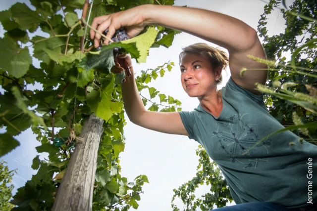selection livre alsace biodynamie