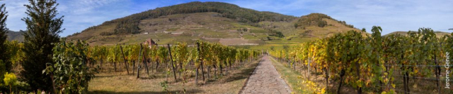 JG23-6070_JG23-6079w